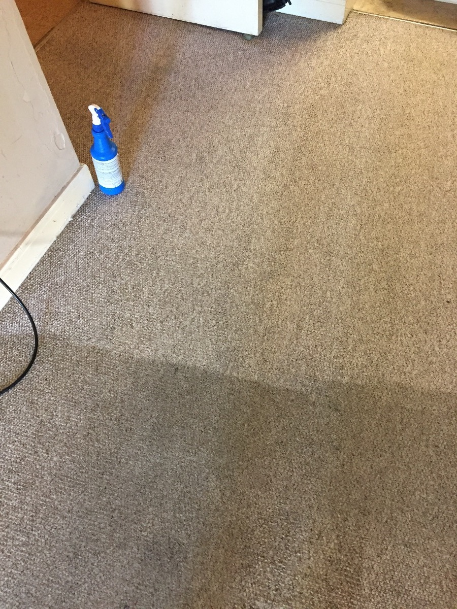 Cleaner: Image 31